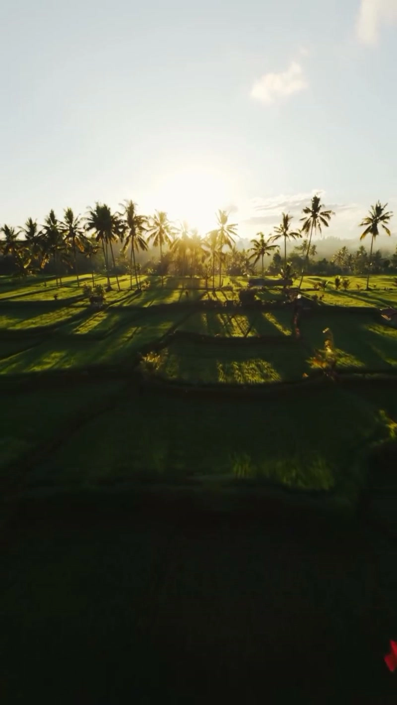 Watching the sunrise break through dawn